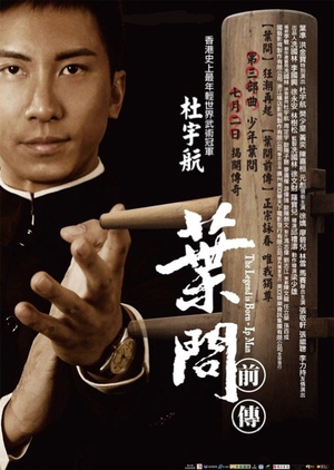 Ip Man: The Legend Is Born 2010 (Hong Kong)